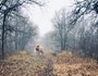 C( Andalusia walking down a path in the fog