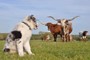 B "watching over the herd!"... ok not really! She's watching over her shoulder!