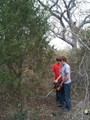 The boys cut down their own Christmas tree for the front porch of the cabin.